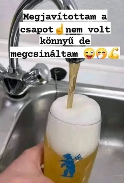 Vicces képek – 1742580016