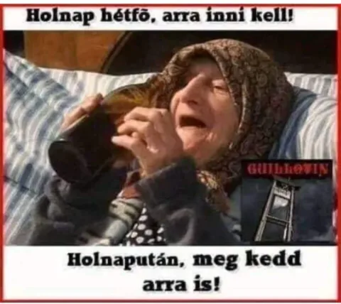 Vicces képek – 1742731930