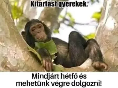 Vicces képek – 1742747739