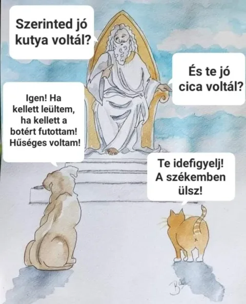 Vicces képek – 1742894549