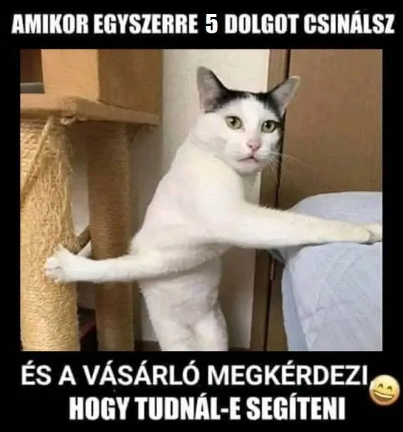 Vicces képek - 1743065396 Vicces képek – 1743065396