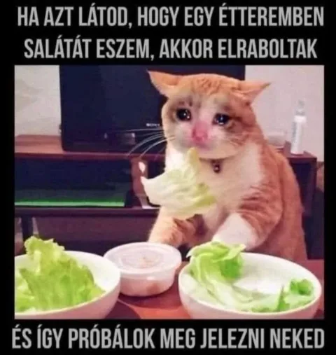 Vicces képek – 1743094807