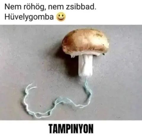 Vicces képek – 1743148810