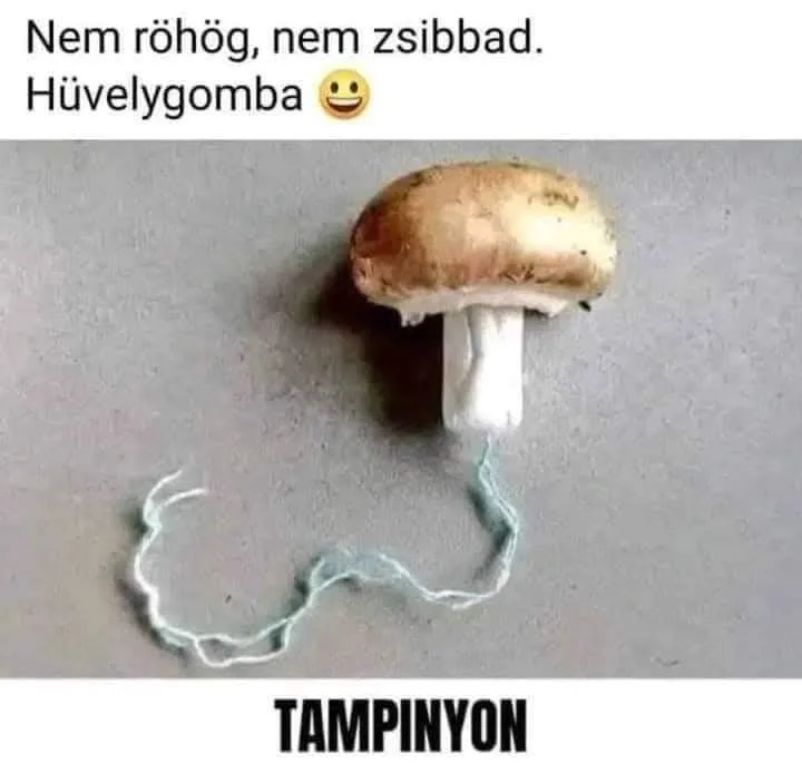Vicces képek - 1743148810 Vicces képek – 1743148810