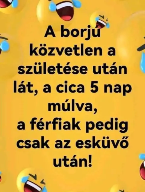 Vicces képek – 1743267611