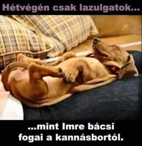 Vicces képek – 1743320768
