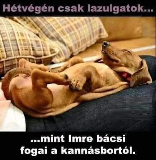 Vicces képek - 1743320768 Vicces képek – 1743320768