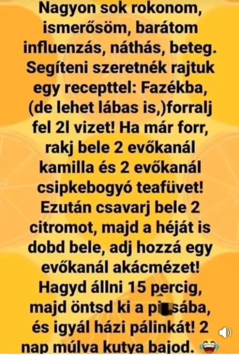 Vicces képek – 1743429606
