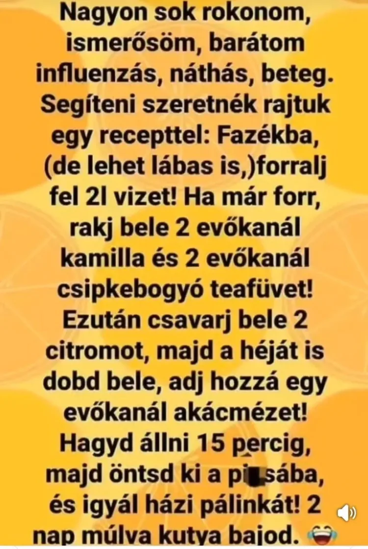 Vicces képek - 1743429606 Vicces képek – 1743429606