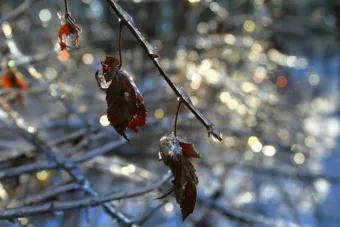 Márciusi időjárás – Készülj fel a váratlan változásokra!