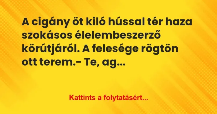 Vicc: A cigány öt kiló hússal tér haza szokásos élelembeszerző körútjáról. A… Vicc: A cigány öt kiló hússal tér haza szokásos élelembeszerző körútjáról. A…