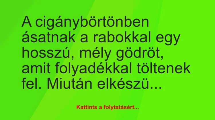 Vicc: A cigánybörtönben ásatnak a rabokkal egy hosszú, mély gödröt, amit… Vicc: A cigánybörtönben ásatnak a rabokkal egy hosszú, mély gödröt, amit…