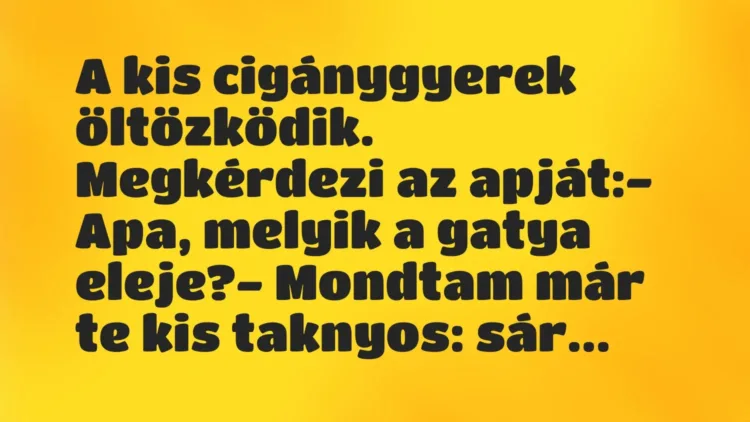 Vicc: A kis cigánygyerek öltözködik. Megkérdezi az apját:
– Apa, melyik… Vicc: A kis cigánygyerek öltözködik. Megkérdezi az apját:
– Apa, melyik…
