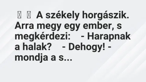 Vicc: 
	    	    A székely horgászik. Arra megy egy ember, s…