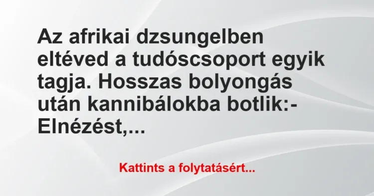 Vicc: Az afrikai dzsungelben eltéved a tudóscsoport egyik tagja. Hosszas… Vicc: Az afrikai dzsungelben eltéved a tudóscsoport egyik tagja. Hosszas…