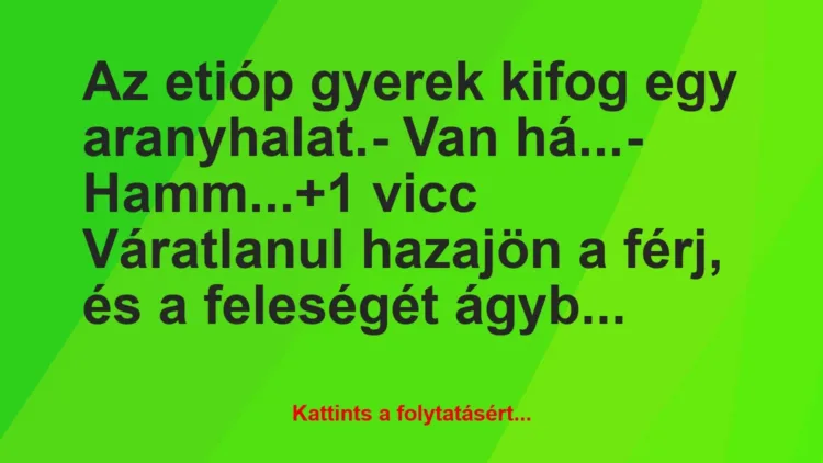 Vicc: Az etióp gyerek kifog egy aranyhalat.
– Van há…
– Hamm… Vicc: Az etióp gyerek kifog egy aranyhalat.
– Van há…
– Hamm…