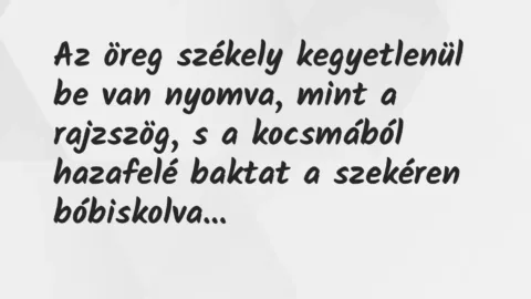 Vicc: Az öreg székely kegyetlenül be van nyomva, mint a rajzszög, s a…