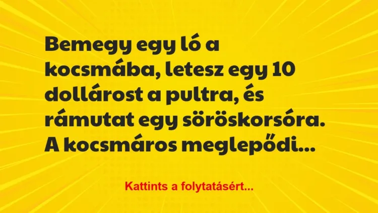 Vicc: Bemegy egy ló a kocsmába, letesz egy 10 dollárost a pultra, és rámutat… Vicc: Bemegy egy ló a kocsmába, letesz egy 10 dollárost a pultra, és rámutat…