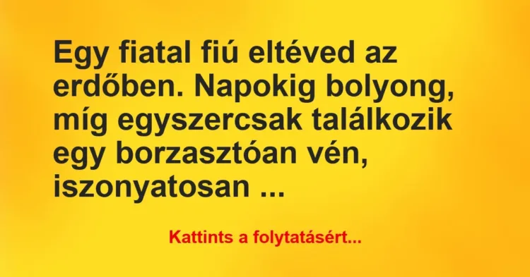 Vicc: Egy fiatal fiú eltéved az erdőben. Napokig bolyong, míg egyszercsak… Vicc: Egy fiatal fiú eltéved az erdőben. Napokig bolyong, míg egyszercsak…