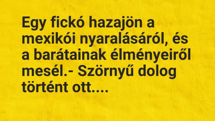 Vicc: Egy fickó hazajön a mexikói nyaralásáról, és a barátainak élményeiről… Vicc: Egy fickó hazajön a mexikói nyaralásáról, és a barátainak élményeiről…