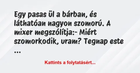 Vicc: Egy pasas ül a bárban, és láthatóan nagyon szomorú. A mixer…