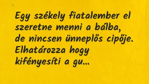 Vicc: Egy székely fiatalember el szeretne menni a bálba, de nincsen ünneplős…