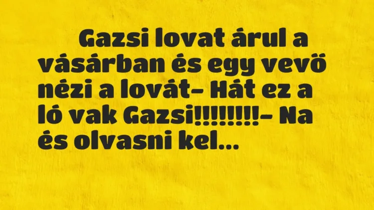 Vicc:
Gazsi lovat árul a vásárban és egy vevő nézi a… Vicc:
Gazsi lovat árul a vásárban és egy vevő nézi a…