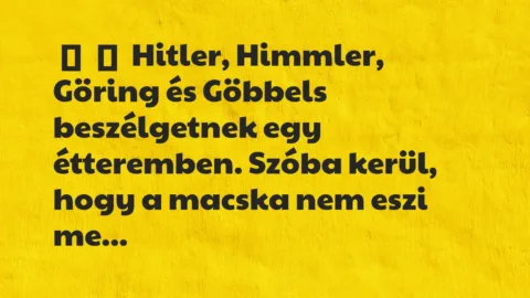 Vicc: 
	    	    Hitler, Himmler, Göring és Göbbels beszélgetnek egy…