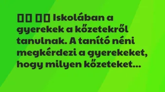 Vicc: 
		  
		  Iskolában a gyerekek a kőzetekről tanulnak. A…