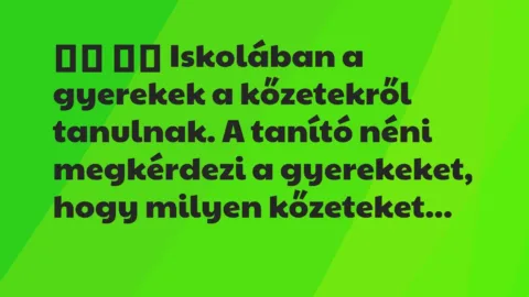 Vicc: 
		  
		  Iskolában a gyerekek a kőzetekről tanulnak. A…