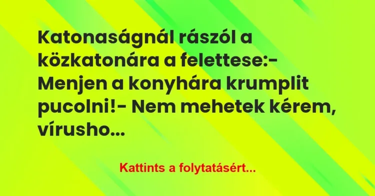Vicc: Katonaságnál rászól a közkatonára a felettese:
– Menjen a… Vicc: Katonaságnál rászól a közkatonára a felettese:
– Menjen a…