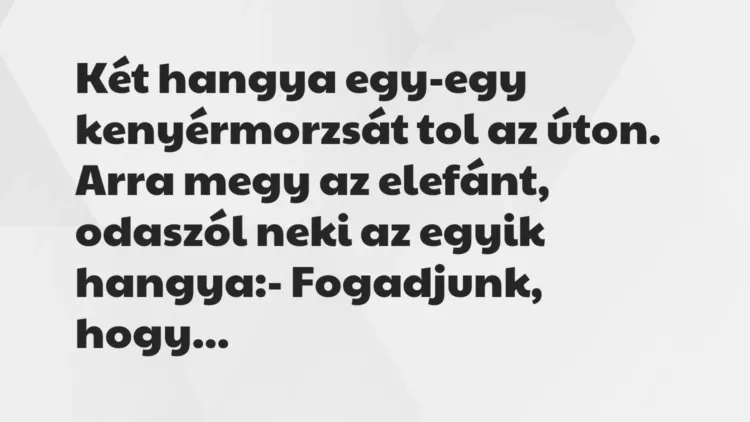Vicc: Két hangya egy-egy kenyérmorzsát tol az úton. Arra megy az elefánt,… Vicc: Két hangya egy-egy kenyérmorzsát tol az úton. Arra megy az elefánt,…
