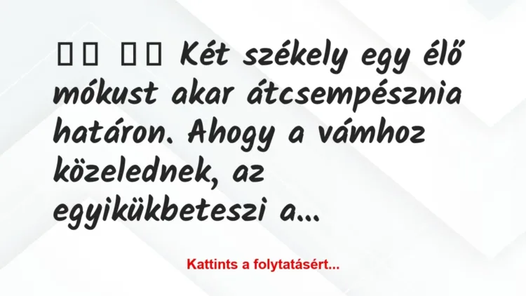Vicc:
Két székely egy élő mókust akar átcsempésznia… Vicc:
Két székely egy élő mókust akar átcsempésznia…