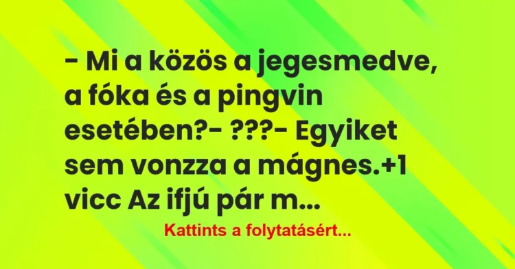 Vicc: – Mi a közös a jegesmedve, a fóka és a pingvin esetében?
-… Vicc: – Mi a közös a jegesmedve, a fóka és a pingvin esetében?
-…