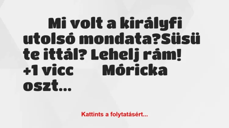 Vicc:
Mi volt a királyfi utolsó mondata?Süsü te ittál? … Vicc:
Mi volt a királyfi utolsó mondata?Süsü te ittál? …