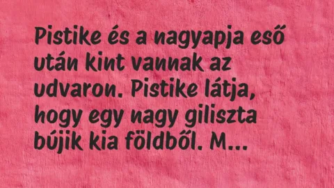 Vicc: Pistike és a nagyapja eső után kint vannak az udvaron. Pistike látja,…