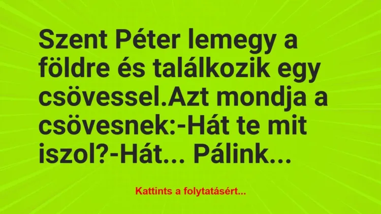 Vicc: Szent Péter lemegy a földre és találkozik egy csövessel.
Azt… Vicc: Szent Péter lemegy a földre és találkozik egy csövessel.
Azt…