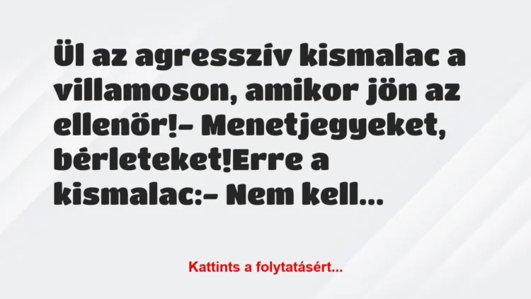 Vicc: Ül az agresszív kismalac a villamoson, amikor jön az ellenőr!
-… Vicc: Ül az agresszív kismalac a villamoson, amikor jön az ellenőr!
-…