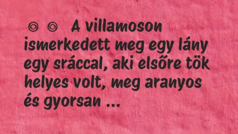 Vicces történet: 
	    	    


A villamoson ismerkedett meg egy lány …