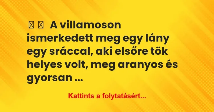 Vicces történet:
A villamoson ismerkedett meg egy lány … Vicces történet:
A villamoson ismerkedett meg egy lány …