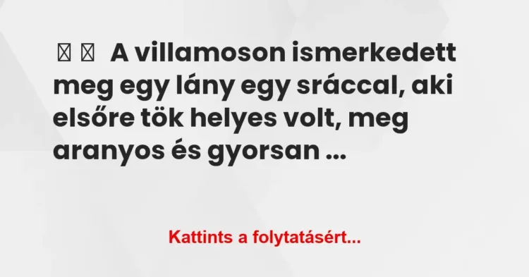 Vicces történet:
A villamoson ismerkedett meg egy lány … Vicces történet:
A villamoson ismerkedett meg egy lány …