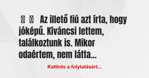 Vicces történet: 
	    	    


Az illető fiú azt írta, hogy jóképű….