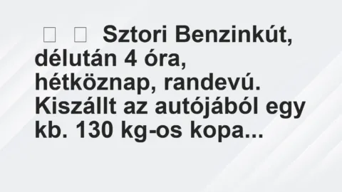 Vicces történet: 
	    	    Sztori


Benzinkút, délután 4 óra, hétköznap, randevú….
