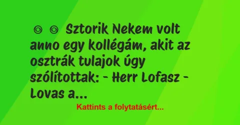 Vicces történet: 
	    	    Sztorik


Nekem volt anno egy kollégám, akit az…