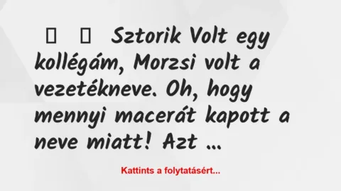 Vicces történet: 
	    	    Sztorik


Volt egy kollégám, Morzsi volt a…