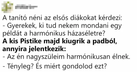 Vicc: A tanító néni az elsős diákokat kérdezi