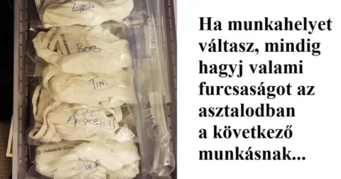 14 fotó, ami bizonyítja, hogy a világot a humoristák uralják