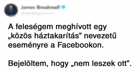 18 Twitter-bejegyzés, amiben minden benne van, amit a…