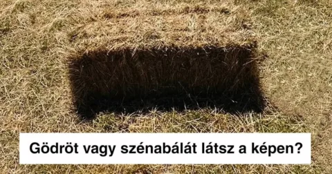 20 optikai csalódást keltő pillanat, aminél jobbat akarattal…