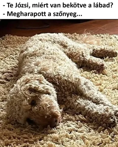 ]